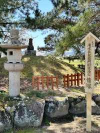 【岡山　お城巡り】