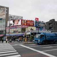 Flavors of Tsukiji: A Street Food Adventure in Tokyo!