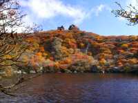 【大分県】くじゅう連山でもっとも美しい紅葉！大船山