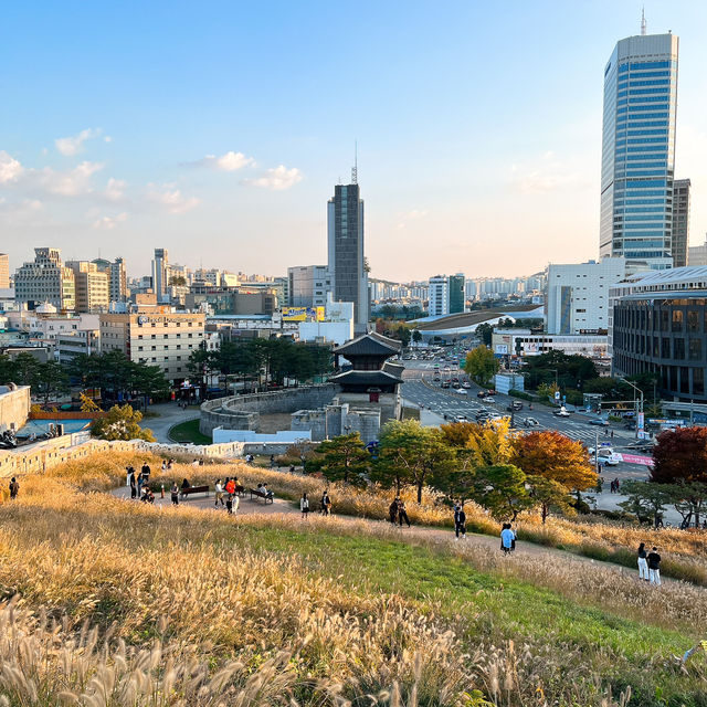 도심속 갈대밭