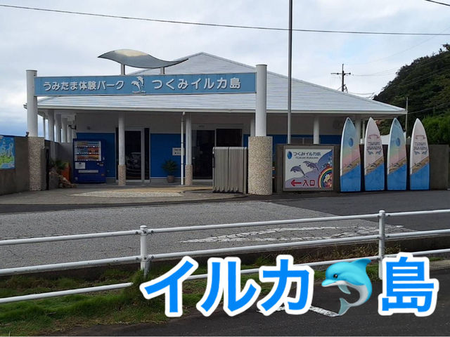 イルカ🐬島