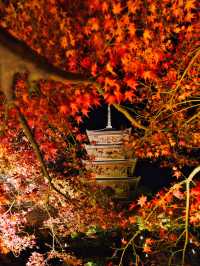 【紅葉特集】京都で建造物と紅葉のリフレクションを撮るならここ📸