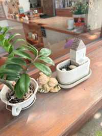Otama Sunrice Cafe