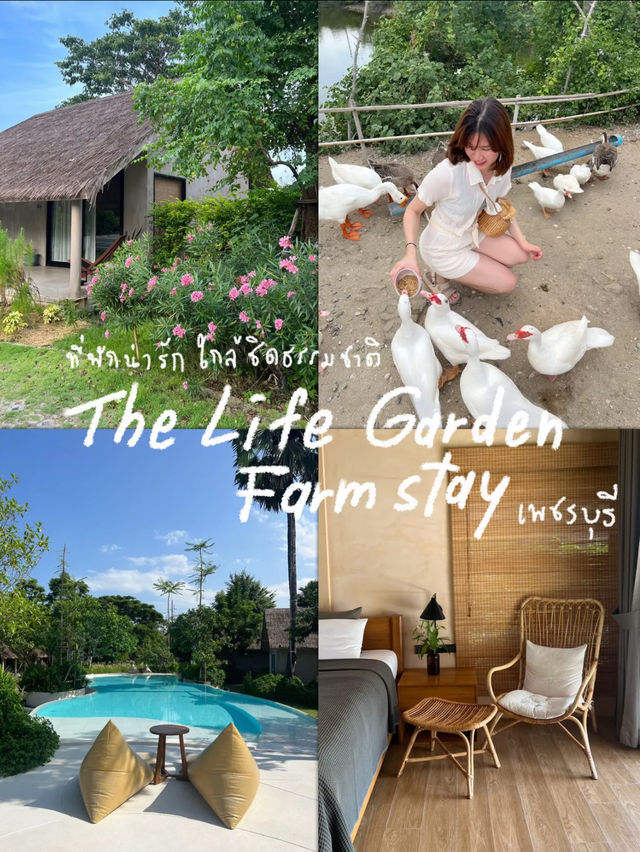 🪿The Life Garden Farmstay 🌿 ที่พักน่ารัก 