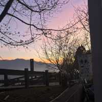 Explore Cingjing Farm, Taiwan’s High Mountain Leisure Farm