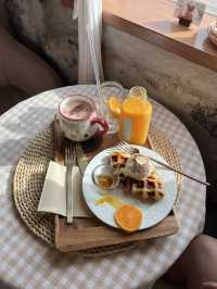 濟州島必去 摘柑橘🍊Cafe！
