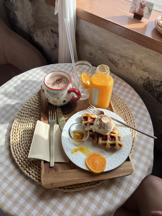 濟州島必去 摘柑橘🍊Cafe！