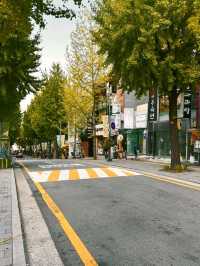 Exploring Elegance: My Day at Ewha Womans University