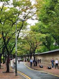 함께 걸으면 없던 로맨스도 생긴다는 덕수궁 돌담길🚶🏻‍♀️🚶