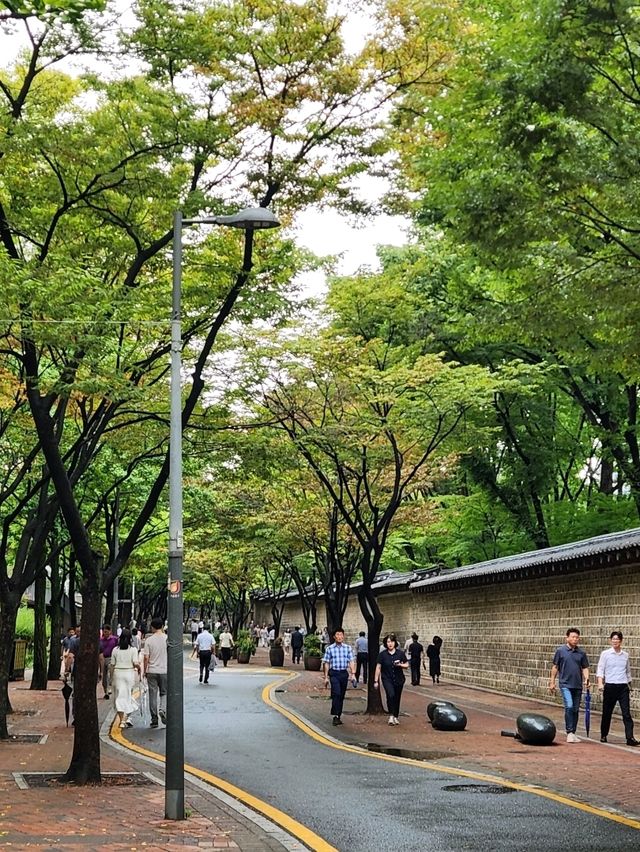 함께 걸으면 없던 로맨스도 생긴다는 덕수궁 돌담길🚶🏻‍♀️🚶