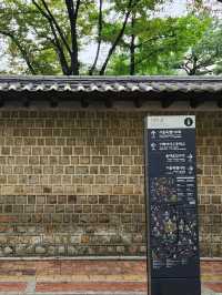 함께 걸으면 없던 로맨스도 생긴다는 덕수궁 돌담길🚶🏻‍♀️🚶