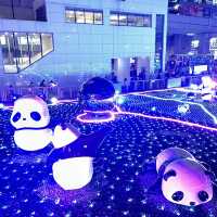 🇭🇰 香港！今個聖誔有熊貓陪大家一起慶祝🎅🌲