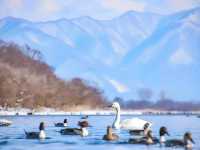 Fukushima in Winter❄️🇯🇵