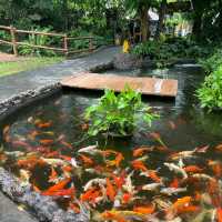 Bali Safari & Marine Park