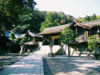 島根🇯🇵美保神社