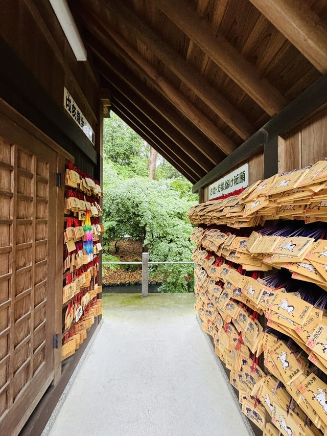 【群馬】花手水がとても綺麗!!御神水も頂ける神社