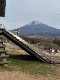 富士山超有名打卡點去一個地方就能拍到 - 馬飼野牧場 🐮