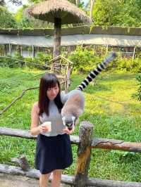 ✨✈️ HKD 4,800 遊越南富國島 Day 3 - Part 2: Safari 珍珠野生動物園✨