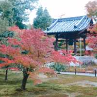 Kinkakuji Temple