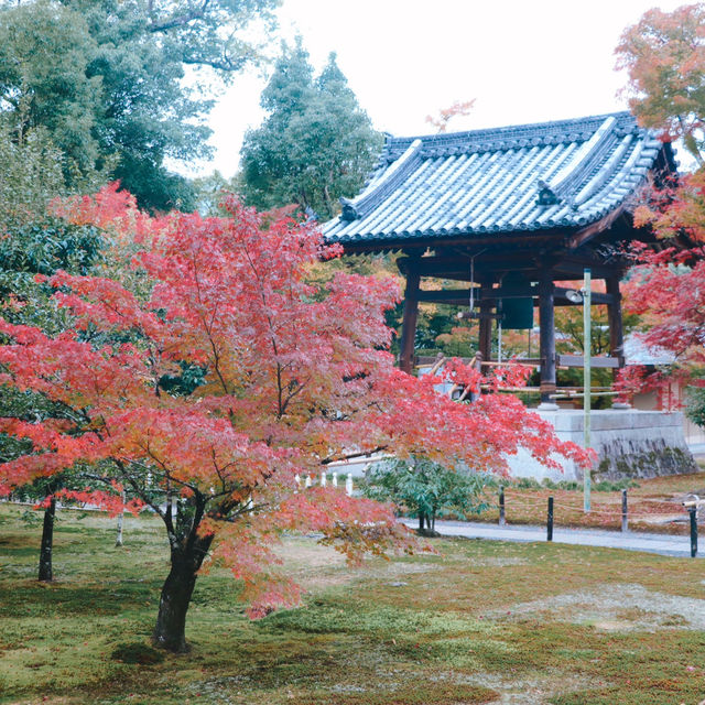 Kinkakuji Temple