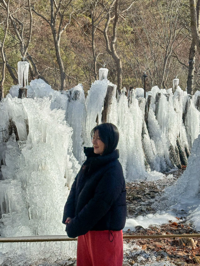 대전에 있는 겨울왕국❄️