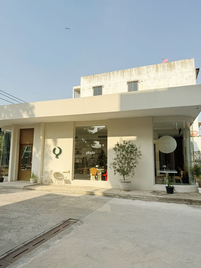 คาเฟ่ฟิโล Phylo Cafe