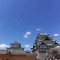 Japan Road Trip ตามหาฟูจิซัง
