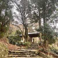 🇯🇵漫步有馬溫泉療癒之森🌲