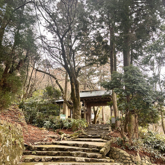 🇯🇵漫步有馬溫泉療癒之森🌲