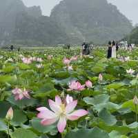 Ninh Binh in a Day: Hoa Lu and Trang An’s Stunning Display