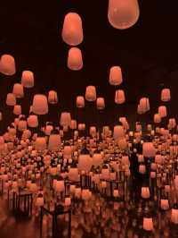 teamLab Forest Fukuoka: Step Into a World of Digital Wonder