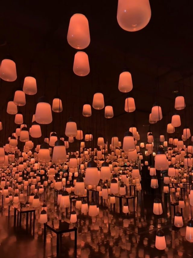 teamLab Forest Fukuoka: Step Into a World of Digital Wonder
