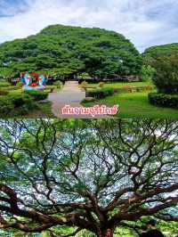 เที่ยวกาญจนบุรี