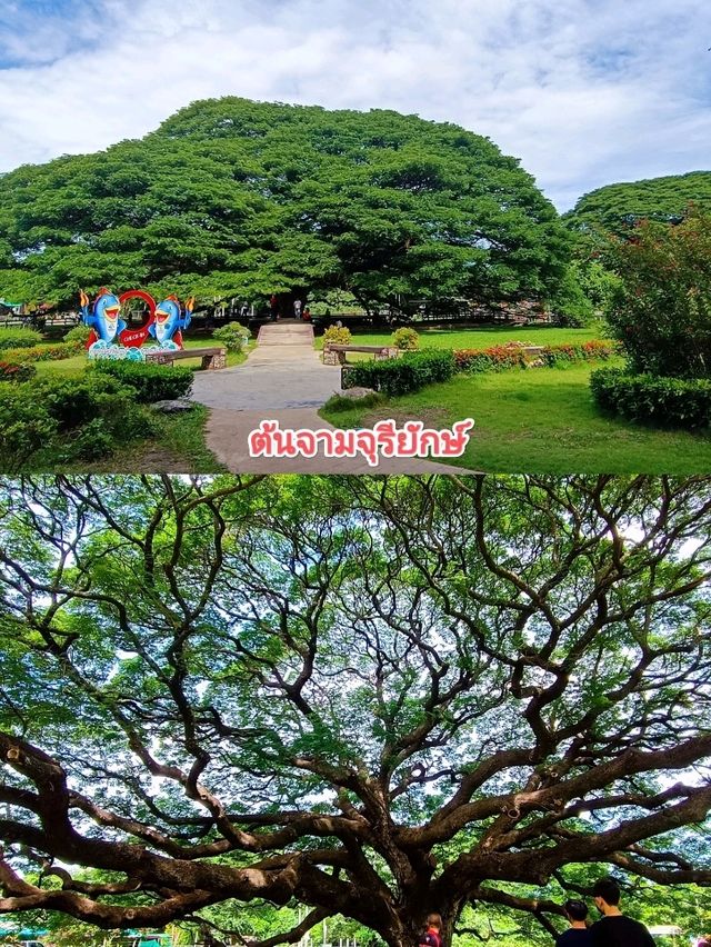 เที่ยวกาญจนบุรี
