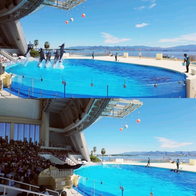 福岡好去處