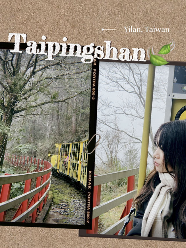 Taipingshan🍃 Nature’s Hidden Masterpiece