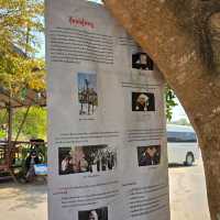 บ้านพิพิธภัณฑ์ไทดำ
