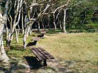 The Hong Kong Wetland Park — Nature in an Urbanscape