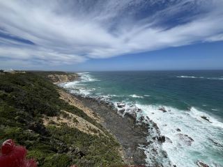 🇦🇺愛大自然的你一定不可以錯過澳洲大洋路 