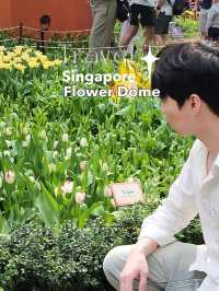 ✨Flower Dome Singapore