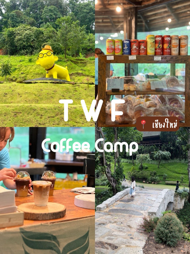 ☕️ TWF Coffee Camp จ.เชียงใหม่