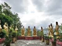10,000 Buddhas, One Journey: A Peaceful Escape in Sha Tin