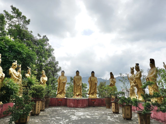 10,000 Buddhas, One Journey: A Peaceful Escape in Sha Tin