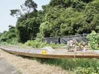 Beyond the Village: A Scenic Escape Around Tai O