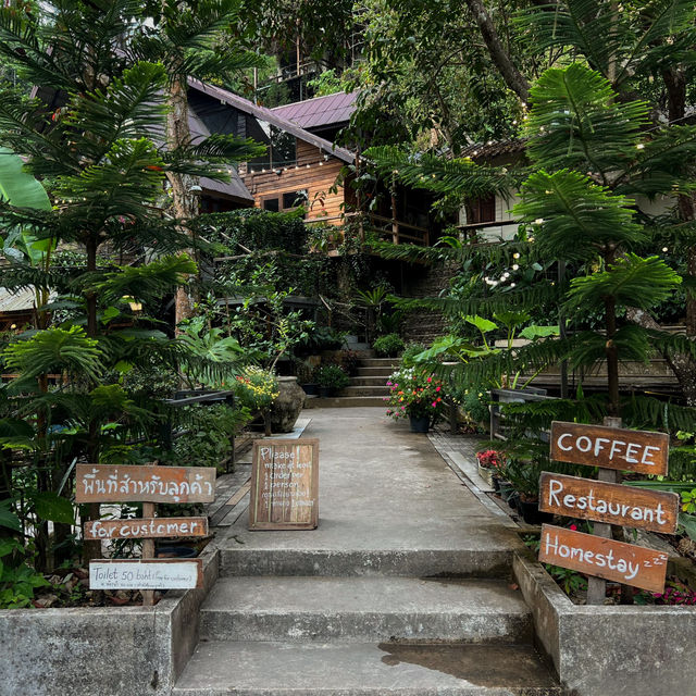 คาเฟ่แม่กำปอง เชียงใหม่