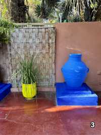 🇲🇦マラケシュ　マジョレル庭園