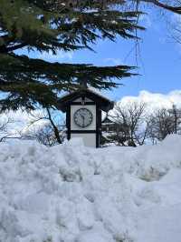 新潟県上越市の高田城