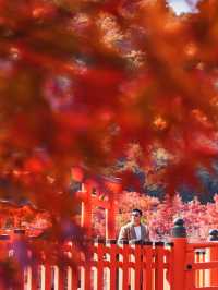 楓葉勝地勝尾寺❤️🔥大阪行程攻略🥰