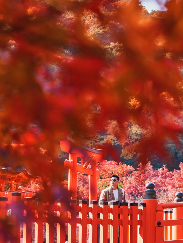 楓葉勝地勝尾寺❤️🔥大阪行程攻略🥰 楓葉勝地勝尾寺❤️🔥大阪行程攻略🥰