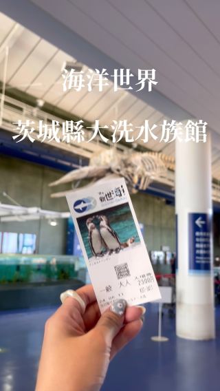 東京獨旅日記\DAY3(中）心得攻略分享/